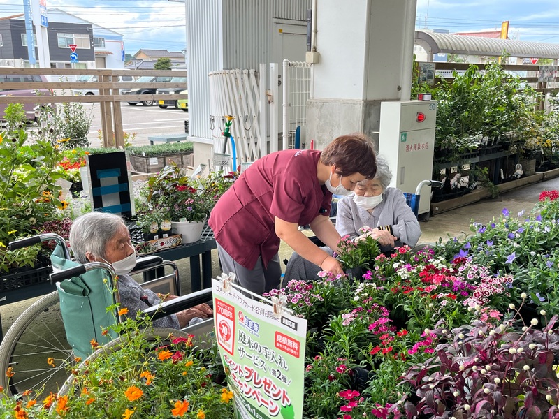 初売り】 ガーデニング 花 植物 ＤＩＹ関連 本物と見間違う木目を再現 liceoelalba.edu.gt