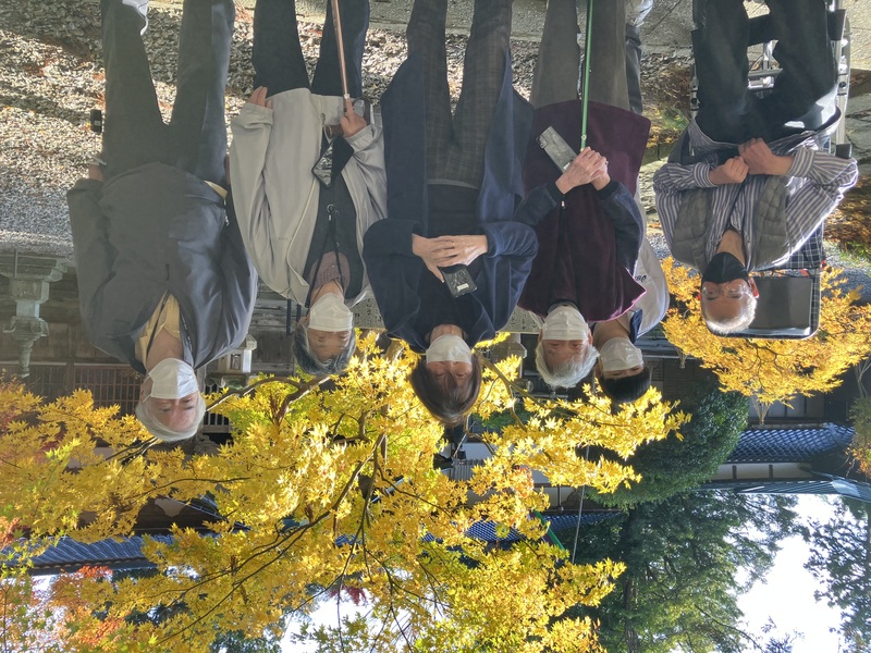 秋の足音 グリーン系ラウンドレジンヘアゴム